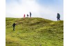 FAMILY HIKES IN YOUR AREA